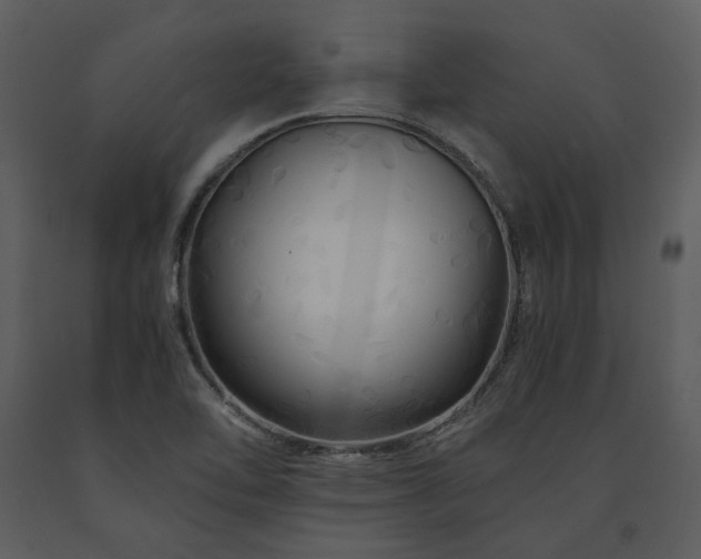 X0000091711462200708241235