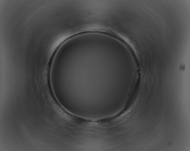 X0000091711463200708241235