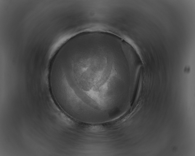 X0000091711464200708241235