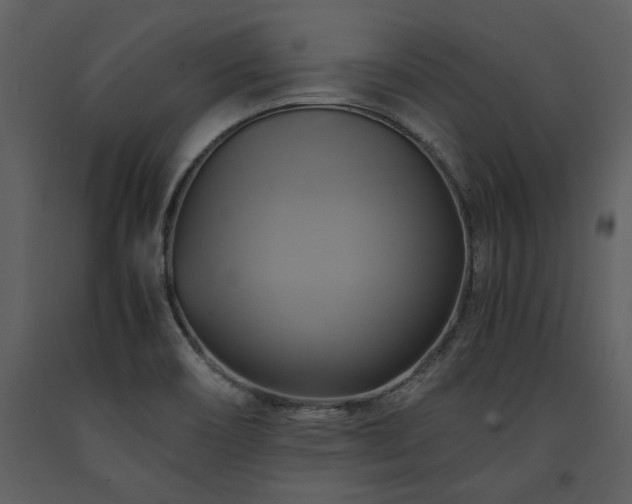 X0000091711466200708241235