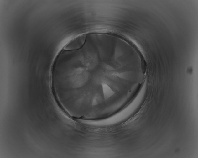 X0000091711467200708241235