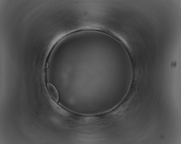 X0000091711471200708241235