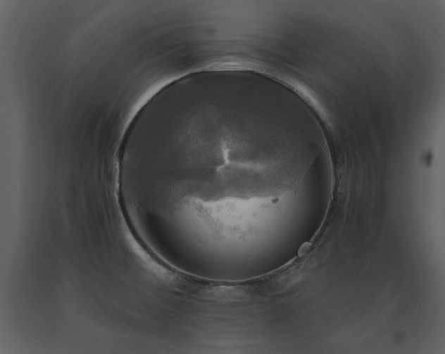 X0000091711476200708241235