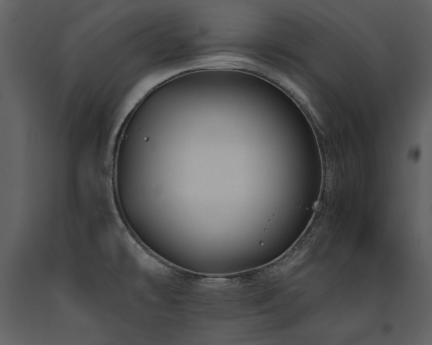 X0000091711478200708241234