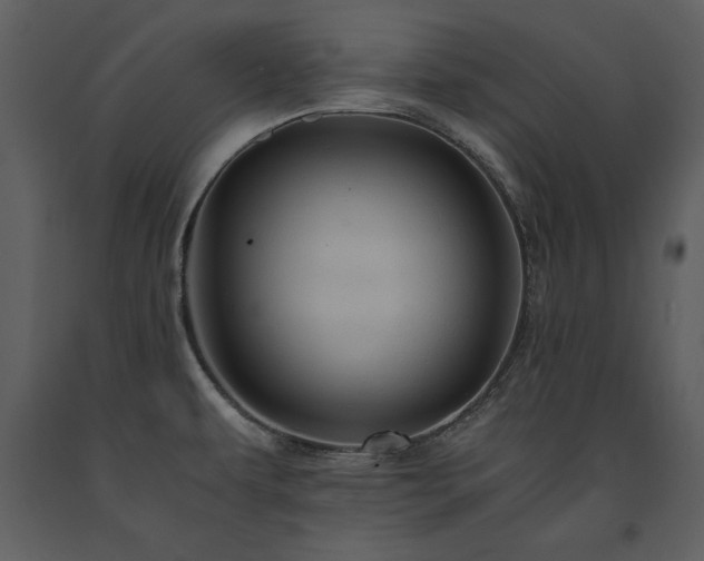 X0000091711479200708241234