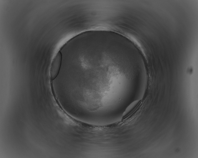 X0000091711480200708241234