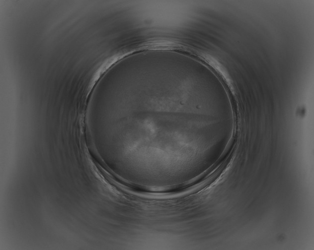 X0000091711481200708241234