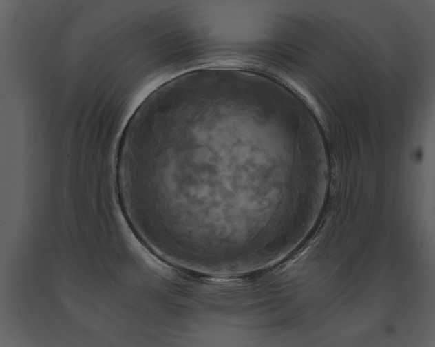 X0000091711483200708241234