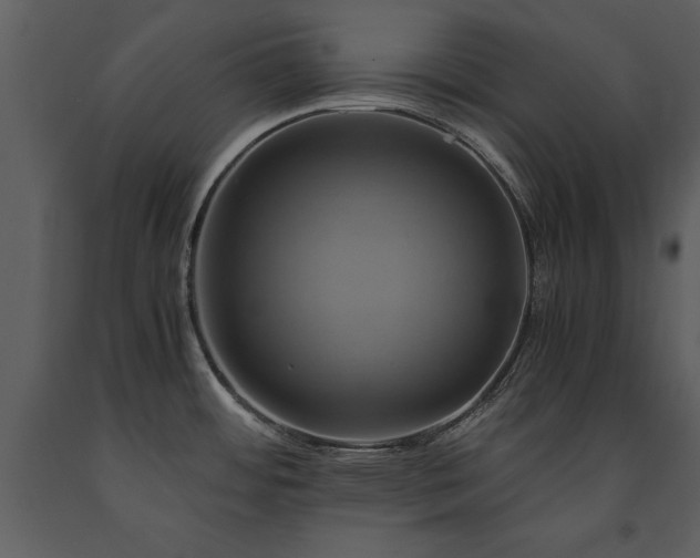 X0000091711484200708241234