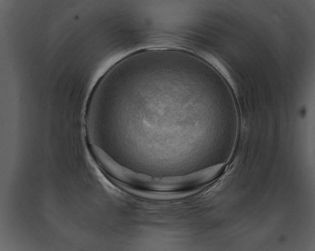 X0000091711485200708241234