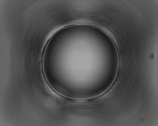 X0000091711486200708241234