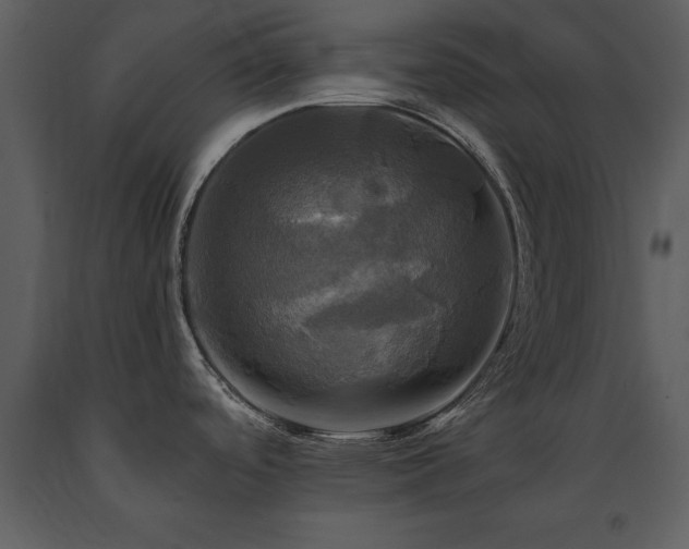 X0000091711488200708241234