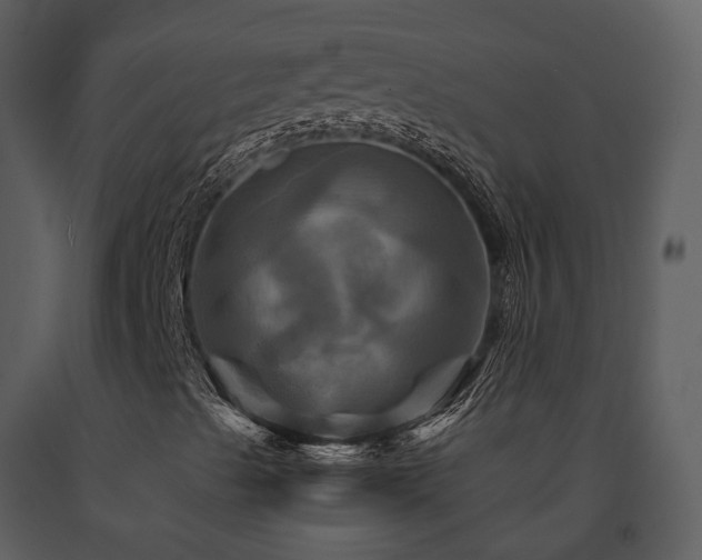 X0000091711489200708241234