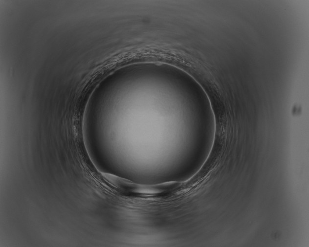 X0000091711490200708241234