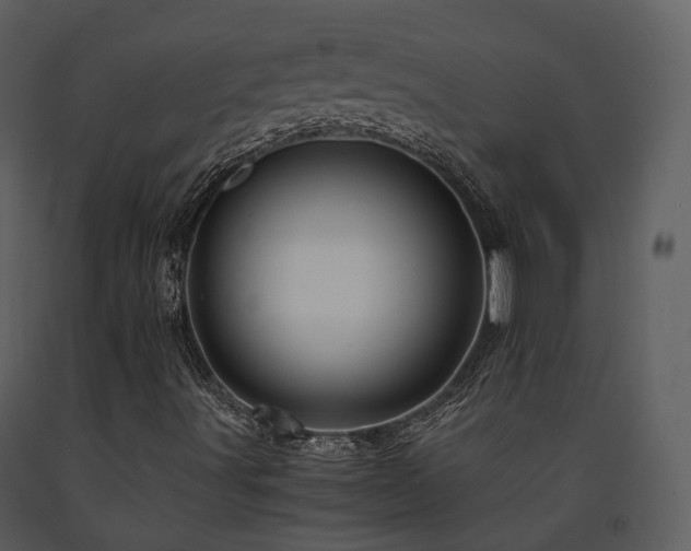 X0000091711491200708241234