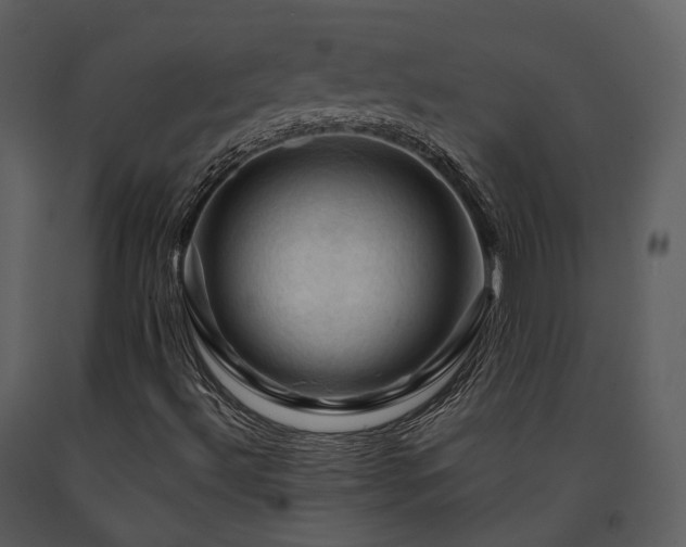 X0000091711492200708241234