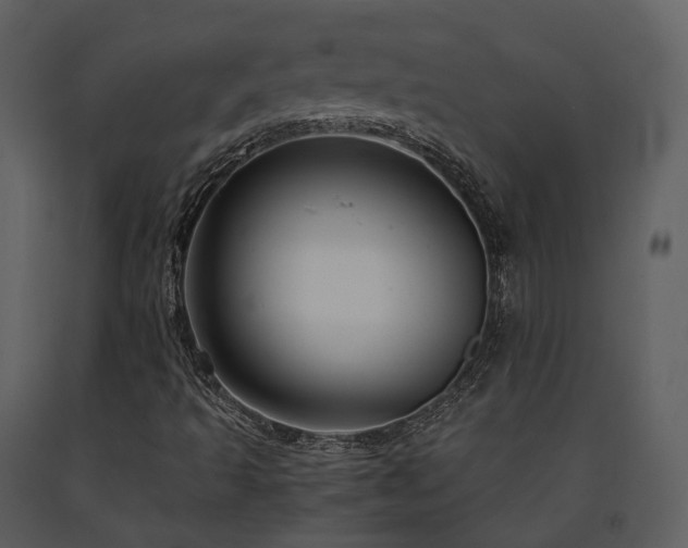 X0000091711493200708241234