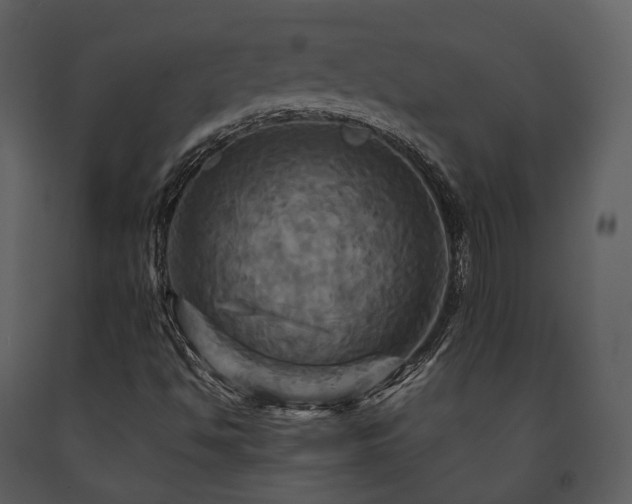 X0000091711494200708241234