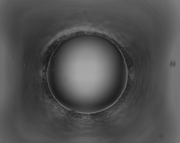 X0000091711495200708241234