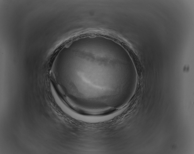 X0000091711496200708241234
