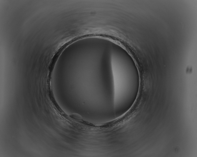 X0000091711497200708241234