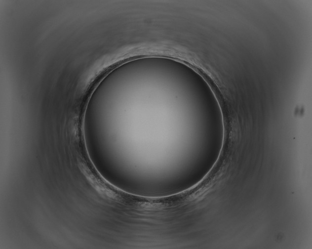 X0000091711499200708241234