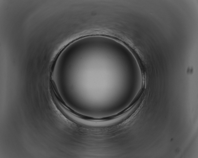 X0000091711500200708241234