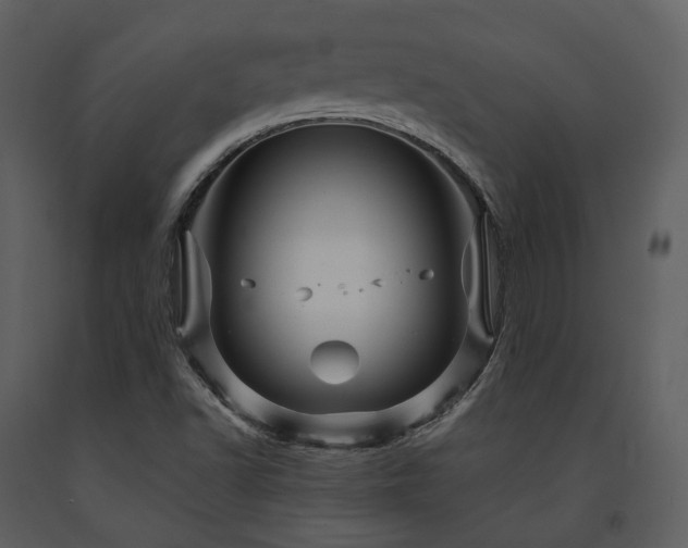 X0000091711502200708241234