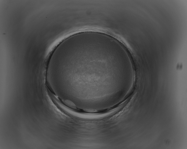 X0000091711504200708241234