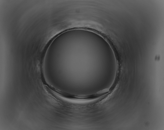 X0000091711505200708241234