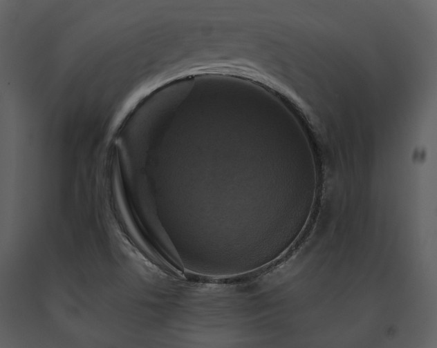 X0000091711506200708241234