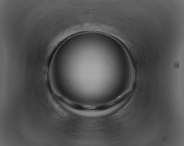 X0000091711507200708241234