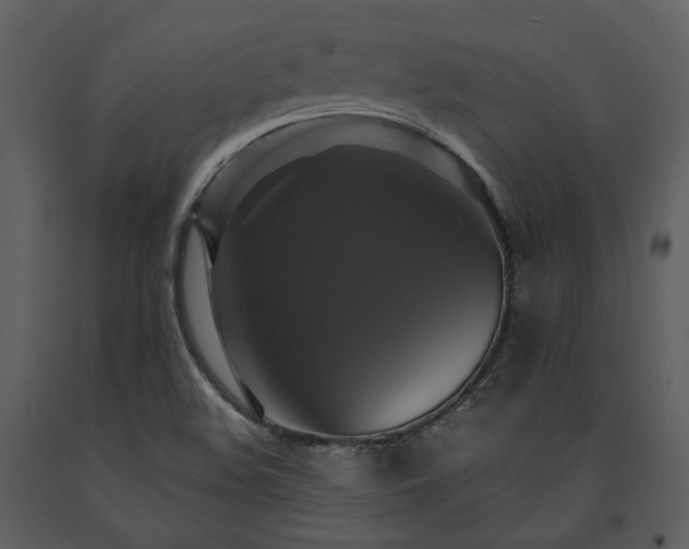X0000091711508200708241234