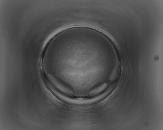 X0000091711510200708241234