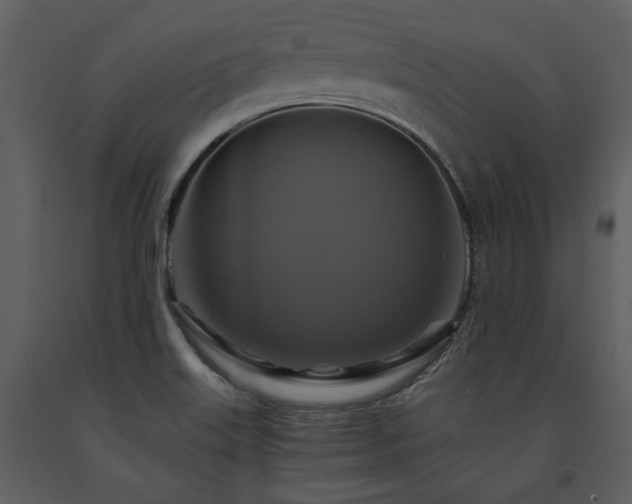 X0000091711515200708241234
