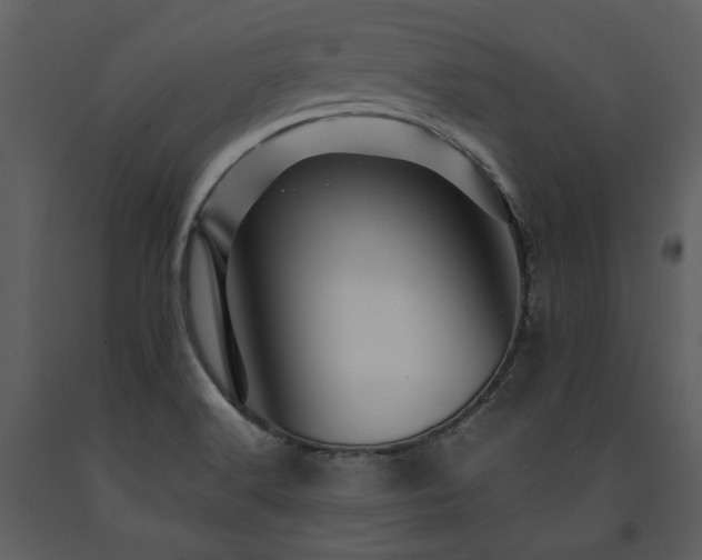 X0000091711516200708241234