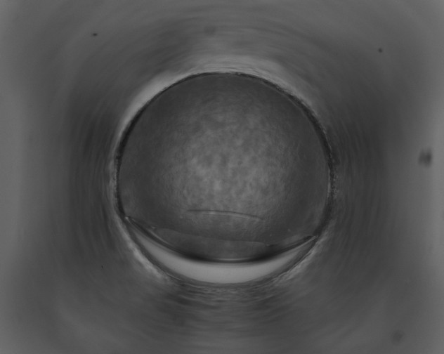 X0000091711517200708241234