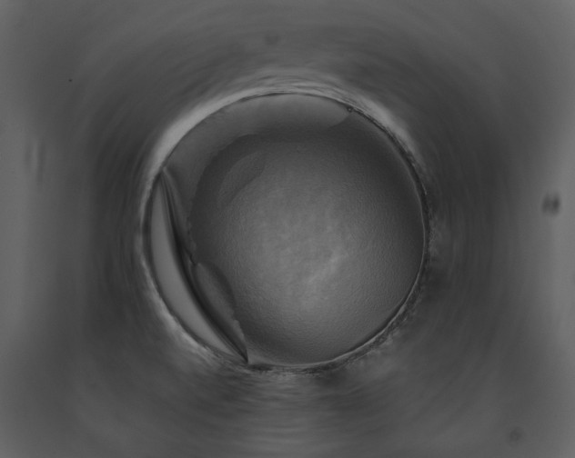 X0000091711520200708241234