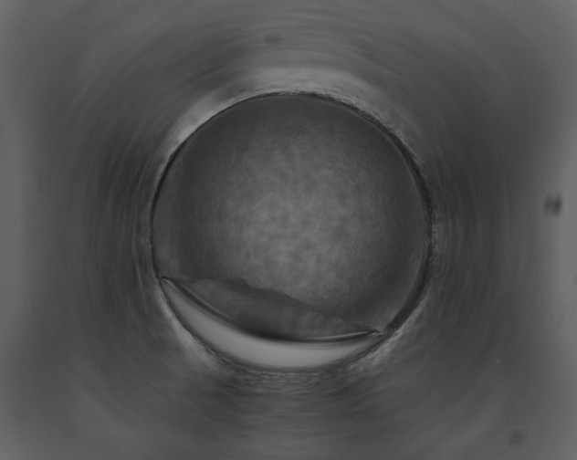 X0000091711521200708241234