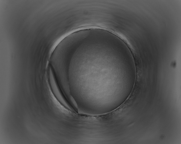 X0000091711524200708241234