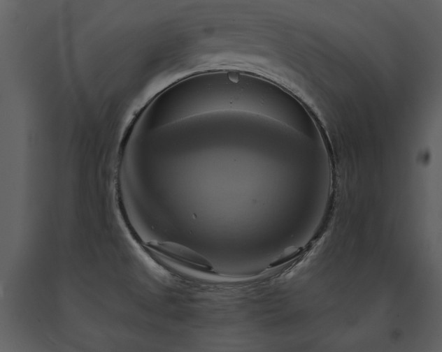X0000091711525200708241234