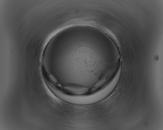 X0000091711528200708241234