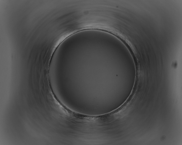 X0000091711529200708241234