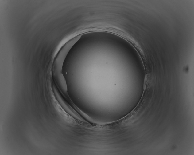 X0000091711530200708241234