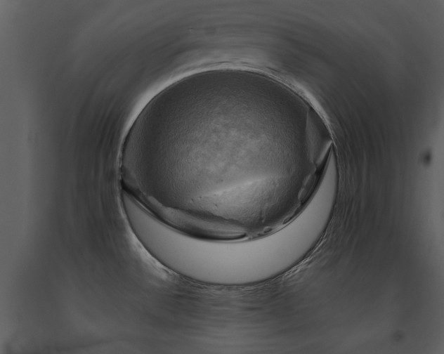 X0000091711532200708241234