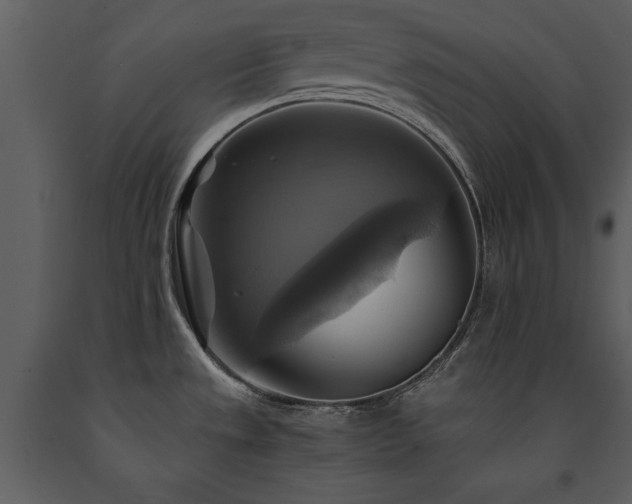 X0000091711533200708241234