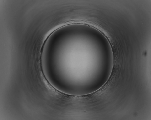 X0000091711534200708241234