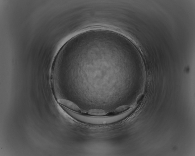 X0000091711535200708241234