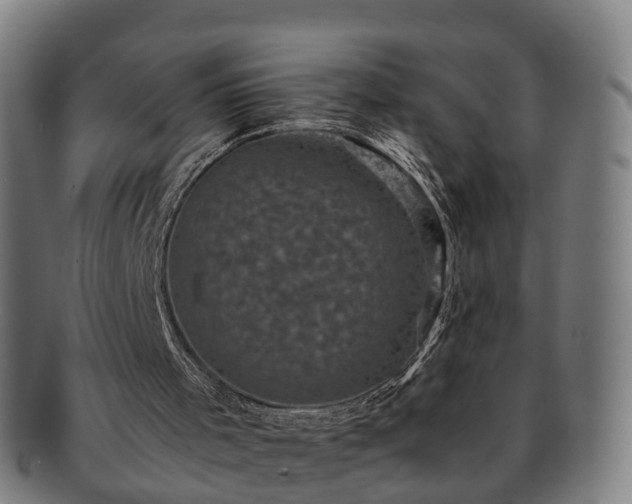 X0000091710001200708311126