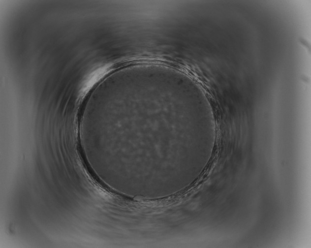 X0000091710005200708311126